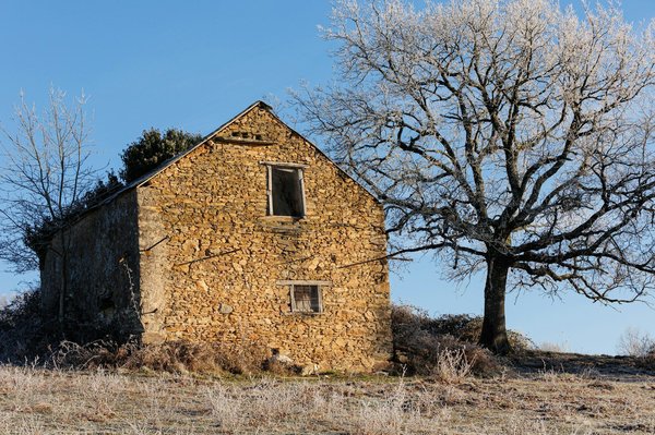 La Tour Eiffel sous le soleil, sous la pluie : conseils pour visiter en toutes saisons