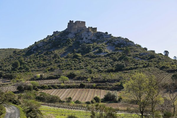 Le Château de Versailles à travers les âges : une chronologie